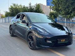 Tesla Model Y Rear-Wheel Drive - ფოტო 3