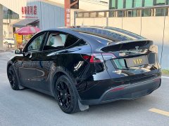 Tesla Model Y Rear-Wheel Drive - ფოტო 4