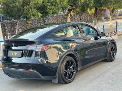 Tesla Model Y Rear-Wheel Drive - ფოტო 6