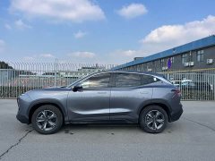 Jetour Jietu Dasheng 1.5T DCT Elite - ფოტო 11
