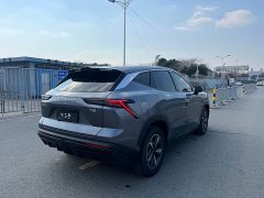 Jetour Jietu Dasheng 1.5T DCT Elite - ფოტო 13