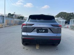 Jetour Jietu Dasheng 1.5T DCT Elite - ფოტო 15