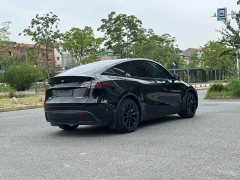 Tesla Model Y Rear-Wheel Drive - ფოტო 12