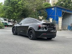 Tesla Model Y Rear-Wheel Drive - ფოტო 14