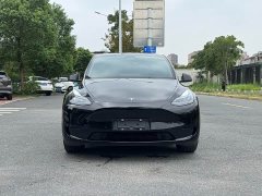 Tesla Model Y Rear-Wheel Drive - ფოტო 2