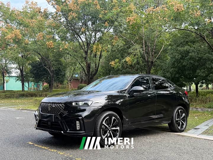 Great Wall WEY VV7 GT 2020 2.0T Flagship - car from China