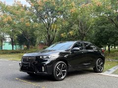 Great Wall WEY VV7 GT 2020 2.0T Flagship - photo 1