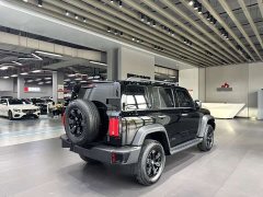 Tank 300 2.0T Gasoline Challenger - ფოტო 9