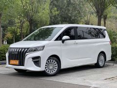 Beijing Ruisheng Wangpai M7 2.0L Long Wheelbase Business 7-Seater - ფოტო 1