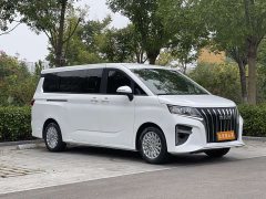 Beijing Ruisheng Wangpai M7 2.0L Long Wheelbase Business 7-Seater - ფოტო 3