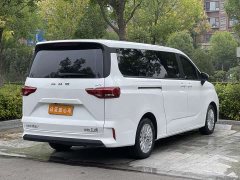 Beijing Ruisheng Wangpai M7 2.0L Long Wheelbase Business 7-Seater - ფოტო 9