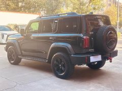 Tank 300 2.0T Challenger - ფოტო 6