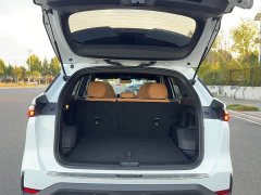 Geely Galaxy L7 1.5T 55km PRO Dragon Ascend Edition - photo 17