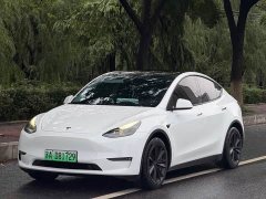 Tesla Model Y Standard Range RWD - photo 1
