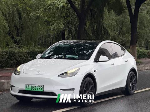 2021 Tesla Model Y Standard Range RWD - ავტომობილი ჩინეთიდან