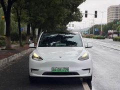 Tesla Model Y Standard Range RWD - photo 2