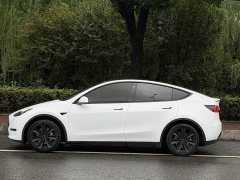 Tesla Model Y Standard Range RWD - photo 3