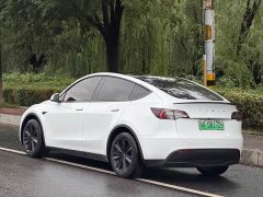 Tesla Model Y Standard Range RWD - photo 4