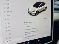 Tesla Model Y Standard Range RWD - photo 8