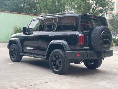 Tank 300 2021 Off-Road Edition 2.0T Conqueror - photo 6