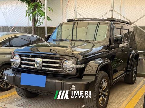 2022 Tank 300 2.0T Frontier Limited Edition - ავტომობილი ჩინეთიდან