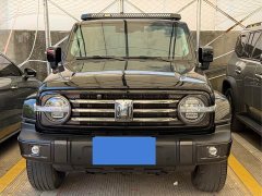 Tank 300 2.0T Frontier Limited Edition - ფოტო 2