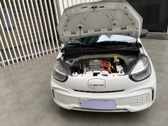 SAIC Corey Wei CLEVER 302km New Four-Seat Super Version - ფოტო 6