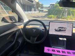 Tesla Model 3 2022 Rear-Wheel Drive - ფოტო 11
