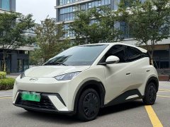BYD Seagull 2025 305km Vitality Edition - photo 1