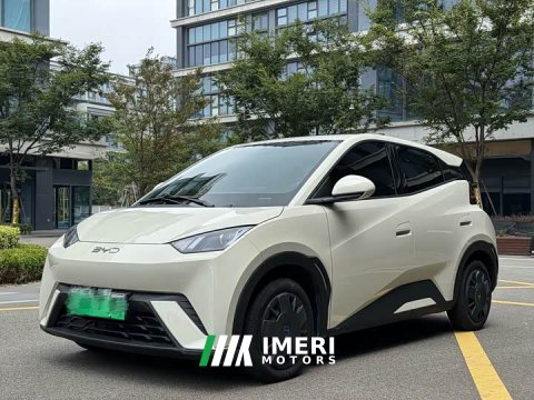 2024 BYD Seagull 2025 305km Vitality Edition - ავტომობილი ჩინეთიდან