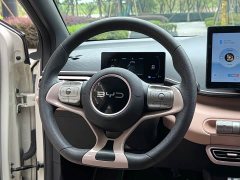 BYD Seagull 2025 305km Vitality Edition - photo 10