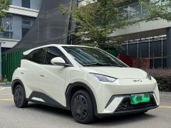 BYD Seagull 2025 305km Vitality Edition - photo 3