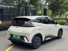 BYD Seagull 2025 305km Vitality Edition - photo 4