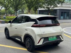 BYD Seagull 2025 305km Vitality Edition - photo 6
