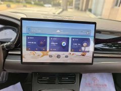 BYD Han 2020 DM AWD Performance Luxury Edition - ფოტო 13