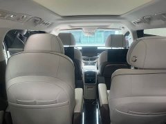 Denza BYD Denza D9 2022 DM-i 970 AWD Premium Edition - photo 15