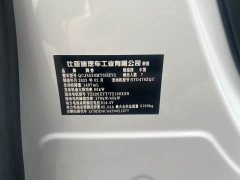 Denza BYD Denza D9 2022 DM-i 970 AWD Premium Edition - photo 16