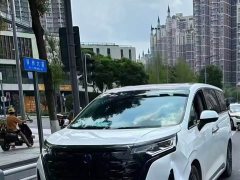 Denza BYD Denza D9 2022 DM-i 970 AWD Premium Edition - photo 18