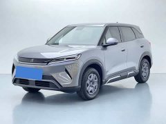 BYD Yuan UP 2025 301KM Pilot Edition - photo 1