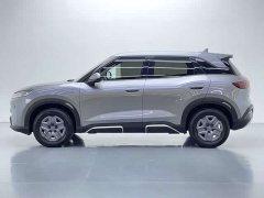 BYD Yuan UP 2025 301KM Pilot Edition - photo 7