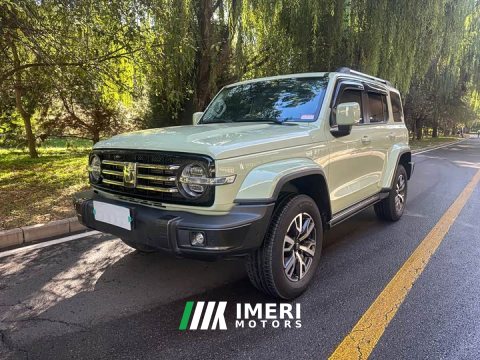 2022 Tank 300 2023 City Edition 2.0T Stylish - ავტომობილი ჩინეთიდან
