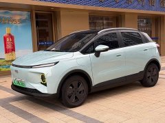 Geely Geometry E Firefly 401KM Thunder Tiger 4-Seater - photo 1