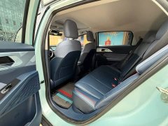 Geely Geometry E Firefly 401KM Thunder Tiger 4-Seater - photo 13