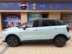 Geely Geometry E Firefly 401KM Thunder Tiger 4-Seater - photo 4