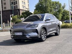 BYD Song Plus New Energy Champion Edition DM-i 110KM Flagship - ფოტო 1