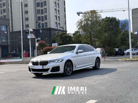 2023 BMW 5 Series 530Li Premier M Sport Package - ავტომობილი ჩინეთიდან