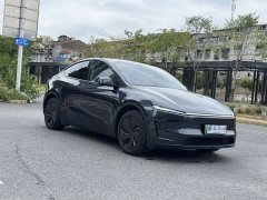 Tesla Model Y Rear-Wheel Drive - photo 3