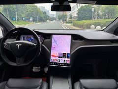 Tesla Model X 2020 Performance High Performance Edition - ფოტო 10