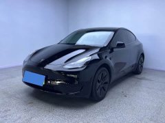 Tesla Model Y Rear-Wheel Drive - ფოტო 1