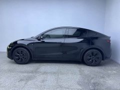 Tesla Model Y Rear-Wheel Drive - ფოტო 10